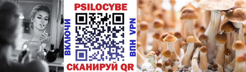 купить  цена  Красково  Псилоцибиновые грибы прущие грибы 